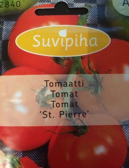 Suvipiha Tomat St. Pierre. Семена томата Святой Пьер.