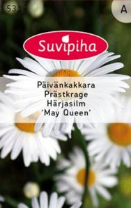 Suvipiha May Queen Семена ромашки Майская королева №5315